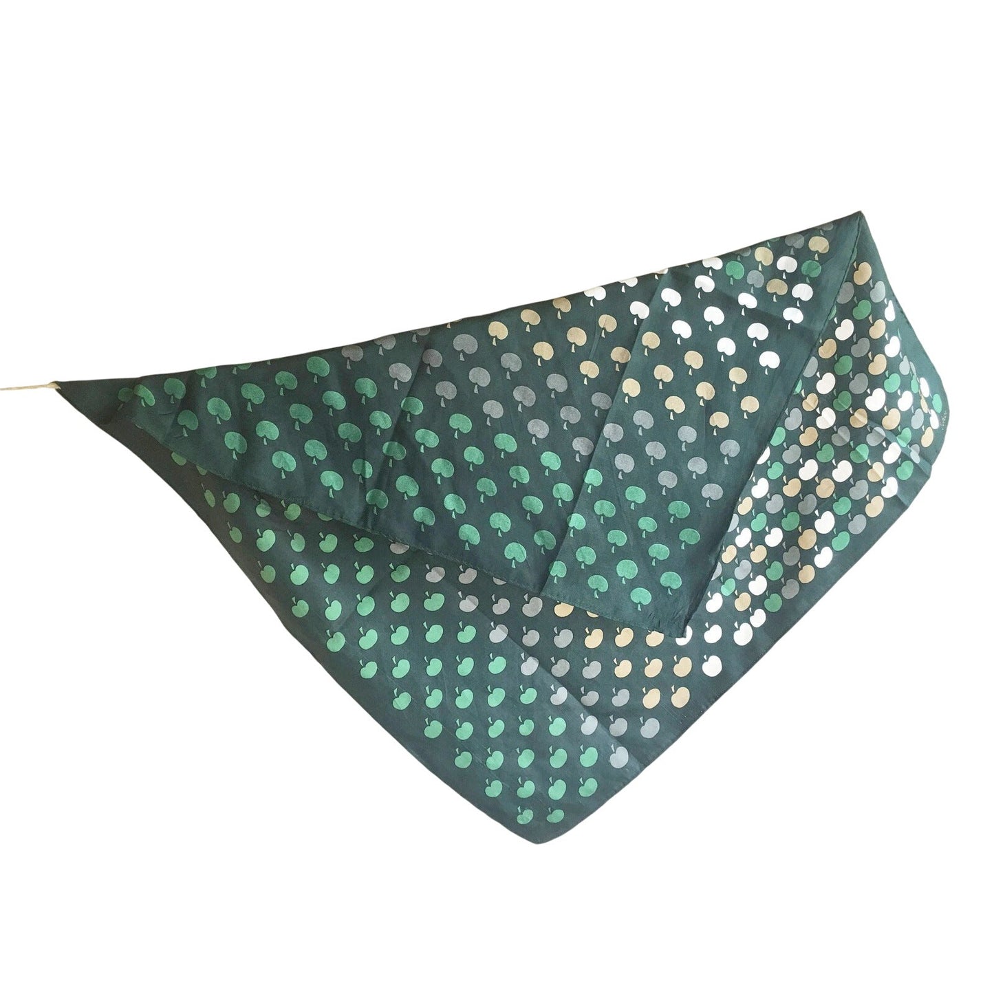 Echo Scarf Green Apples Fruits Whimsical Figural Novelty Accessory