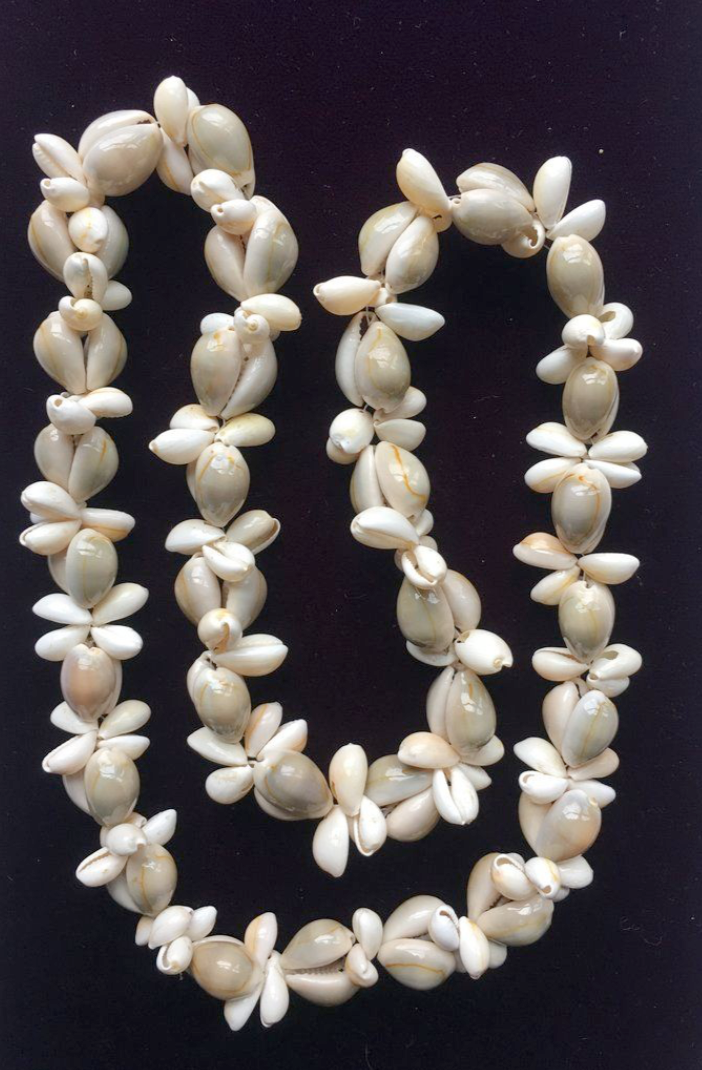 She Sells Cowrie Seashells by the Sea Shore