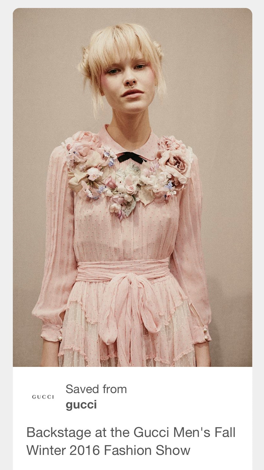 Pantene Dusty Cedar is the color name