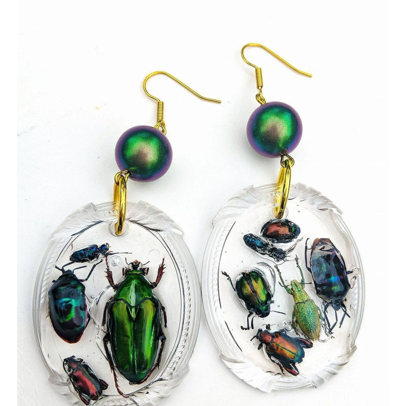 Handcrafted Real Insect Resin Earrings With Iridescent Swarovski Pearls Gold-Plated Hooks 2 Inches Unique Artisan Jewelry By Sugar Gay Isber