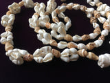 Sea Shells Necklace Vintage Costume Jewelry