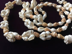 Sea Shells Necklace Vintage Costume Jewelry