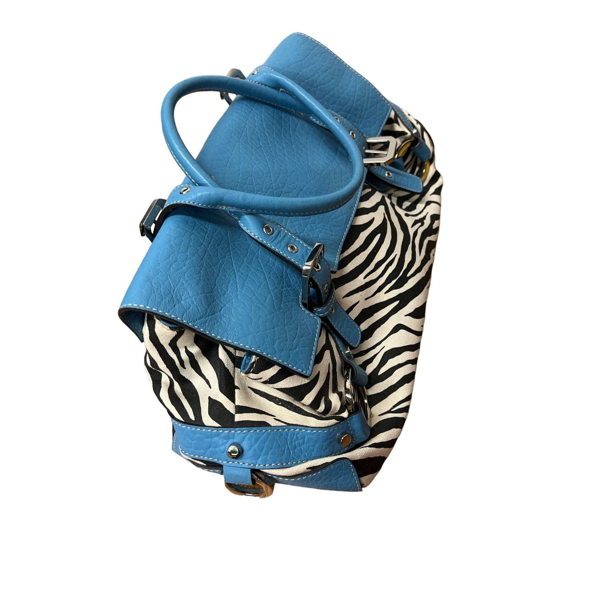 Adrienne Vittadini's Kayla: Eye-catching Blue Zebra Print Satchel Bag