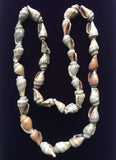 Sea Shells Necklace Vintage Costume Jewelry