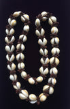 Cowrie Shells with Seeds Necklace Handcrafted Costume Jewelry